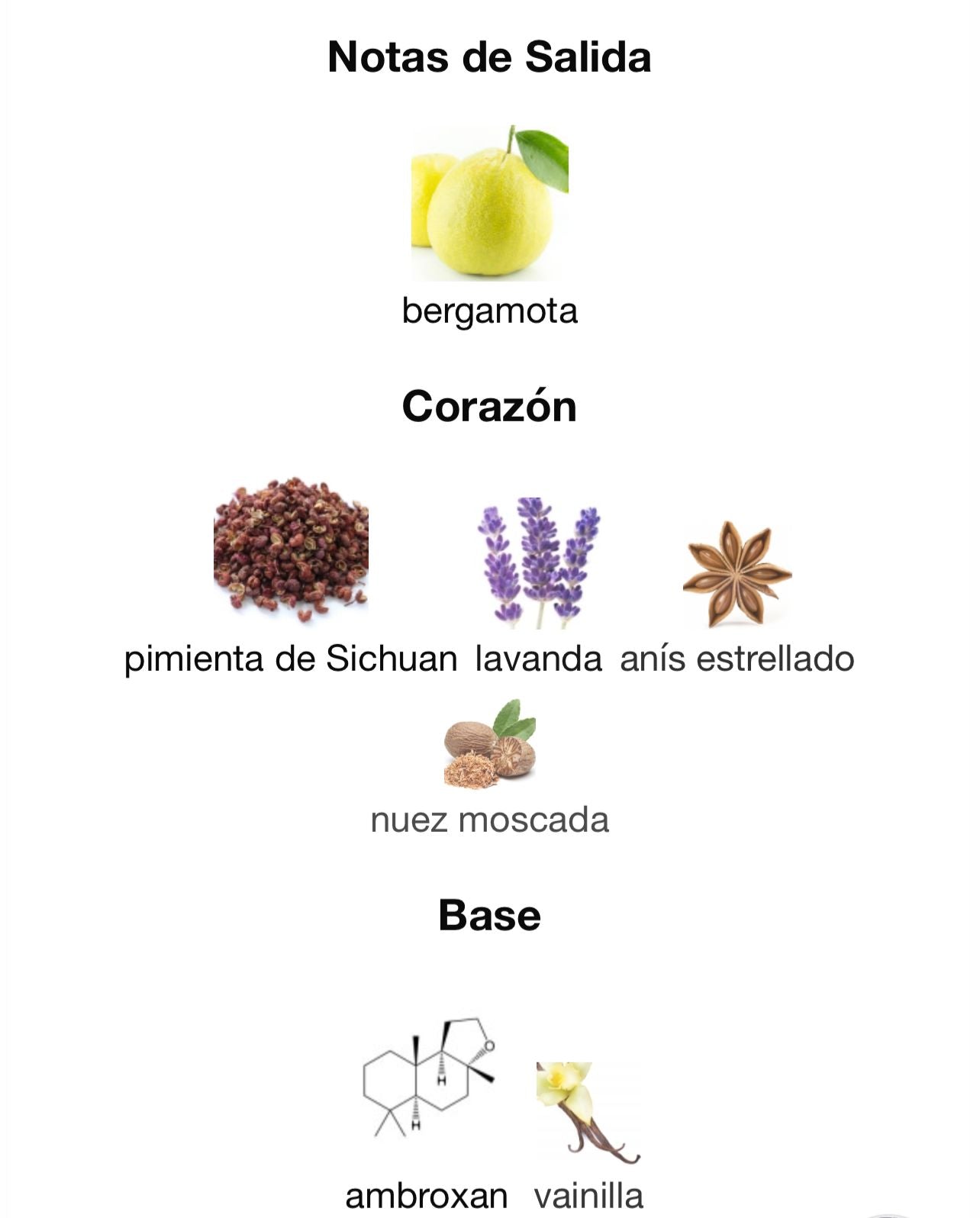 Dior Sauvage (100ml)