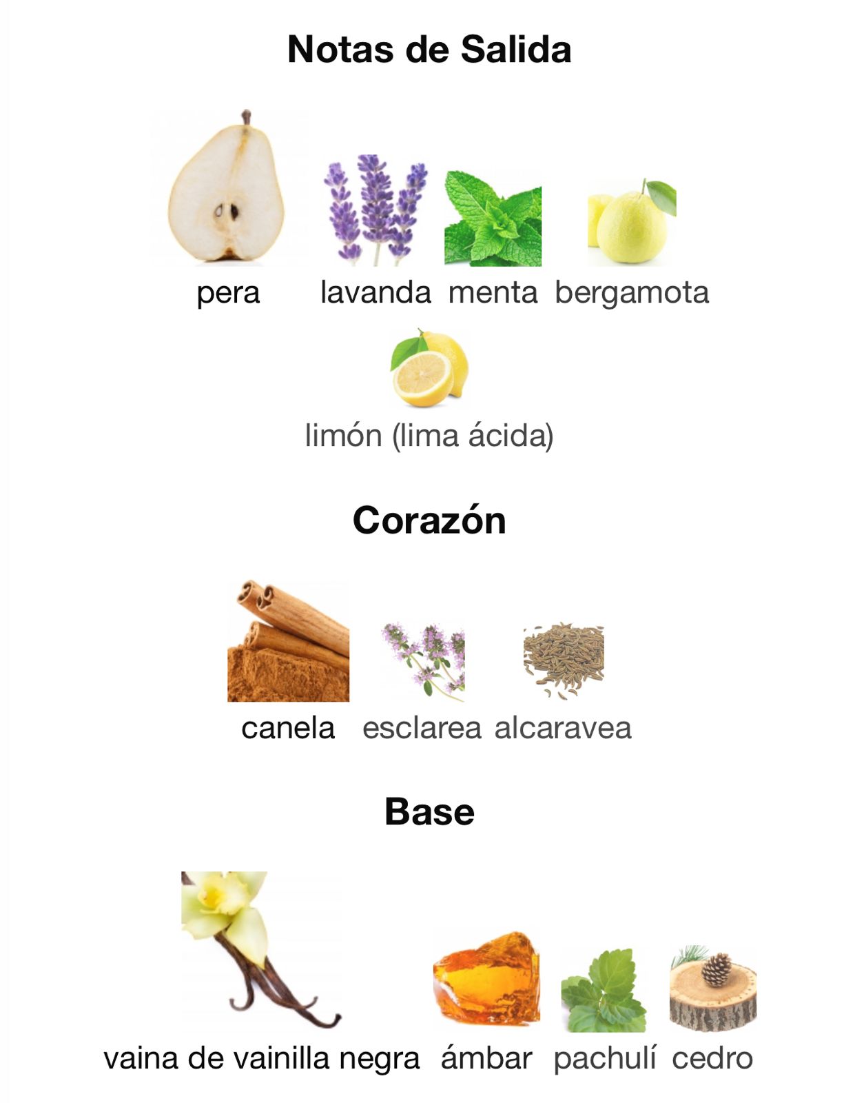 Ultra Male jean paul (100ml)