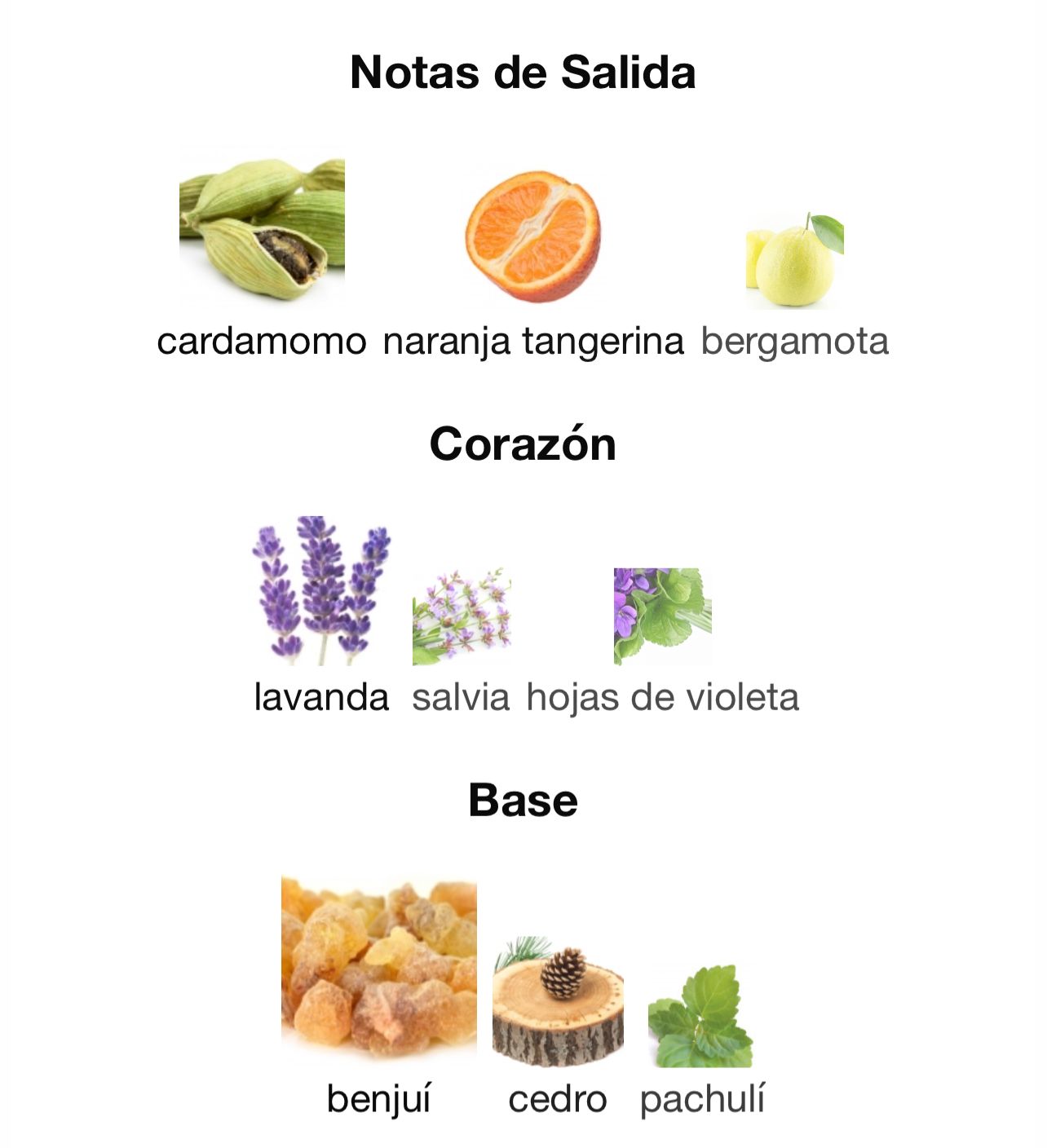 One Million Royal Paco Rabanne (100ml)